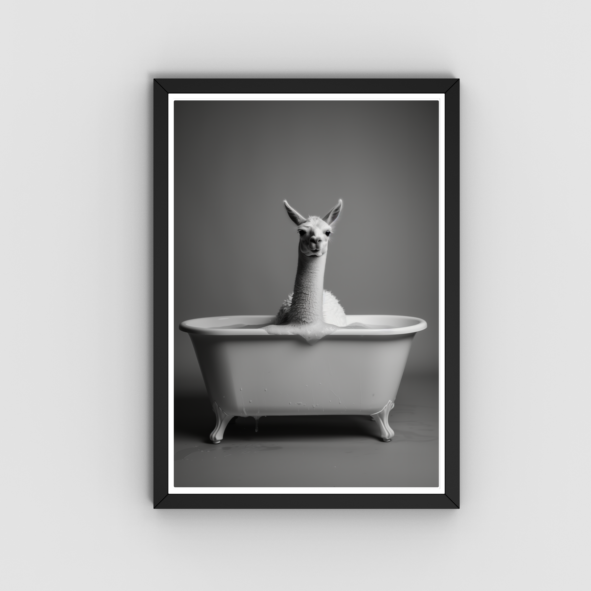 Llama in bathtub, Animal wall Art