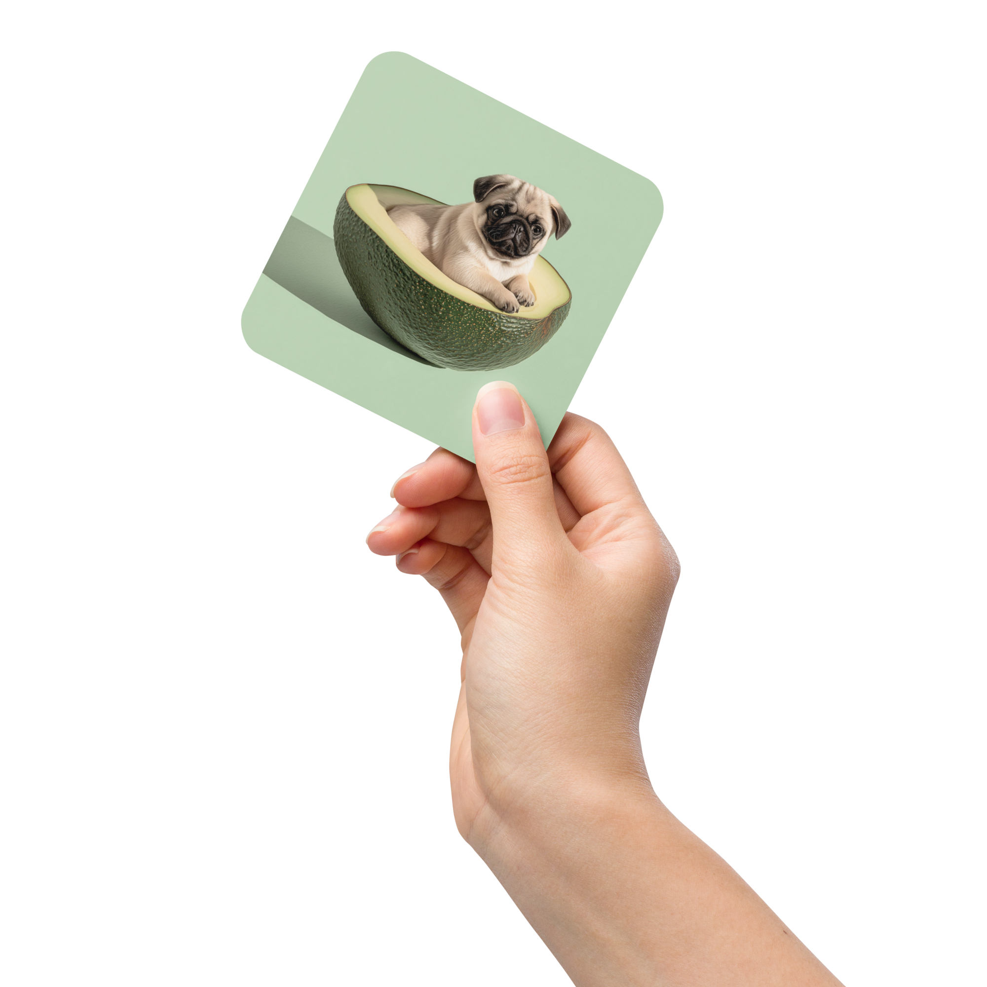 funny dog drink mat pug avocado